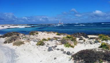 Imagen Propiedad:NCERC1.