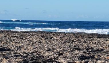 Imagen Propiedad:NCERC1.